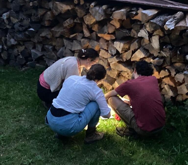 La Coupe des Druides